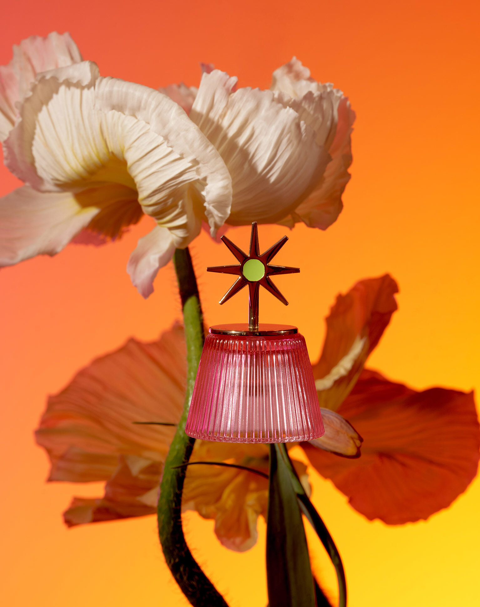 Labvert Bulgari Tester 07